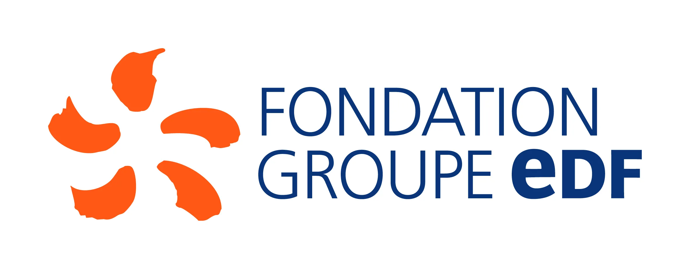 Fondation Groupe EDF