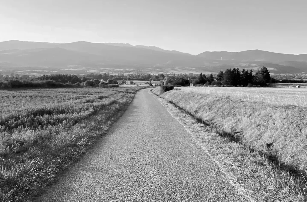 Route de campagne bordée de champs et de collines