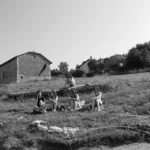 photo de groupe apres baignade